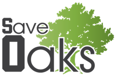 Save Oaks